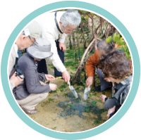 マングローブ植樹体験の風景