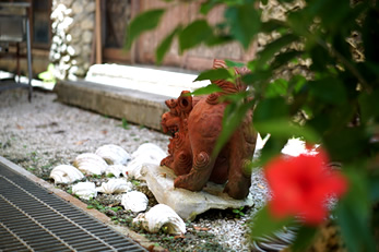 シーサーの写真