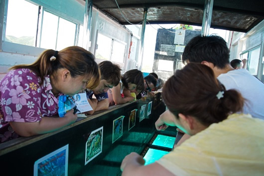 サンゴや生物の説明をする様子