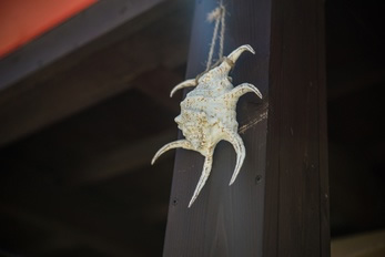 魔除けとして玄関に吊るされたスイジガイ