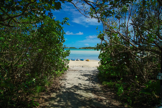 川平湾へ続く小道